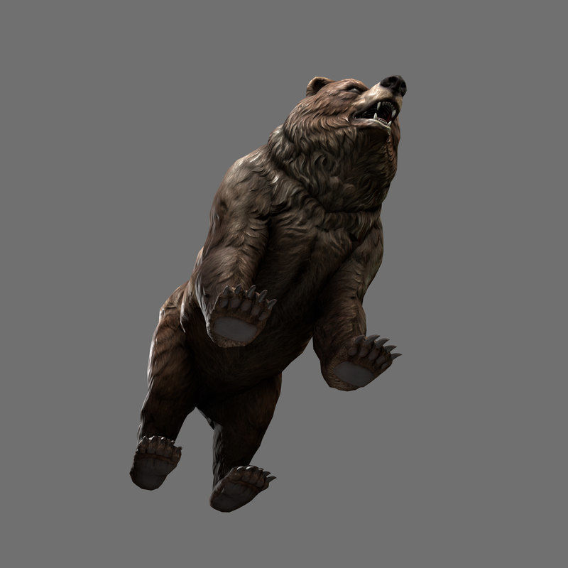 Grizzly Bear Low Poly  Low-poly 3D model_11