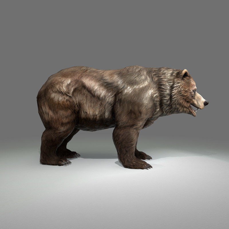 Grizzly Bear Low Poly  Low-poly 3D model_5