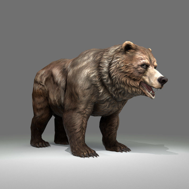 Grizzly Bear Low Poly  Low-poly 3D model_2