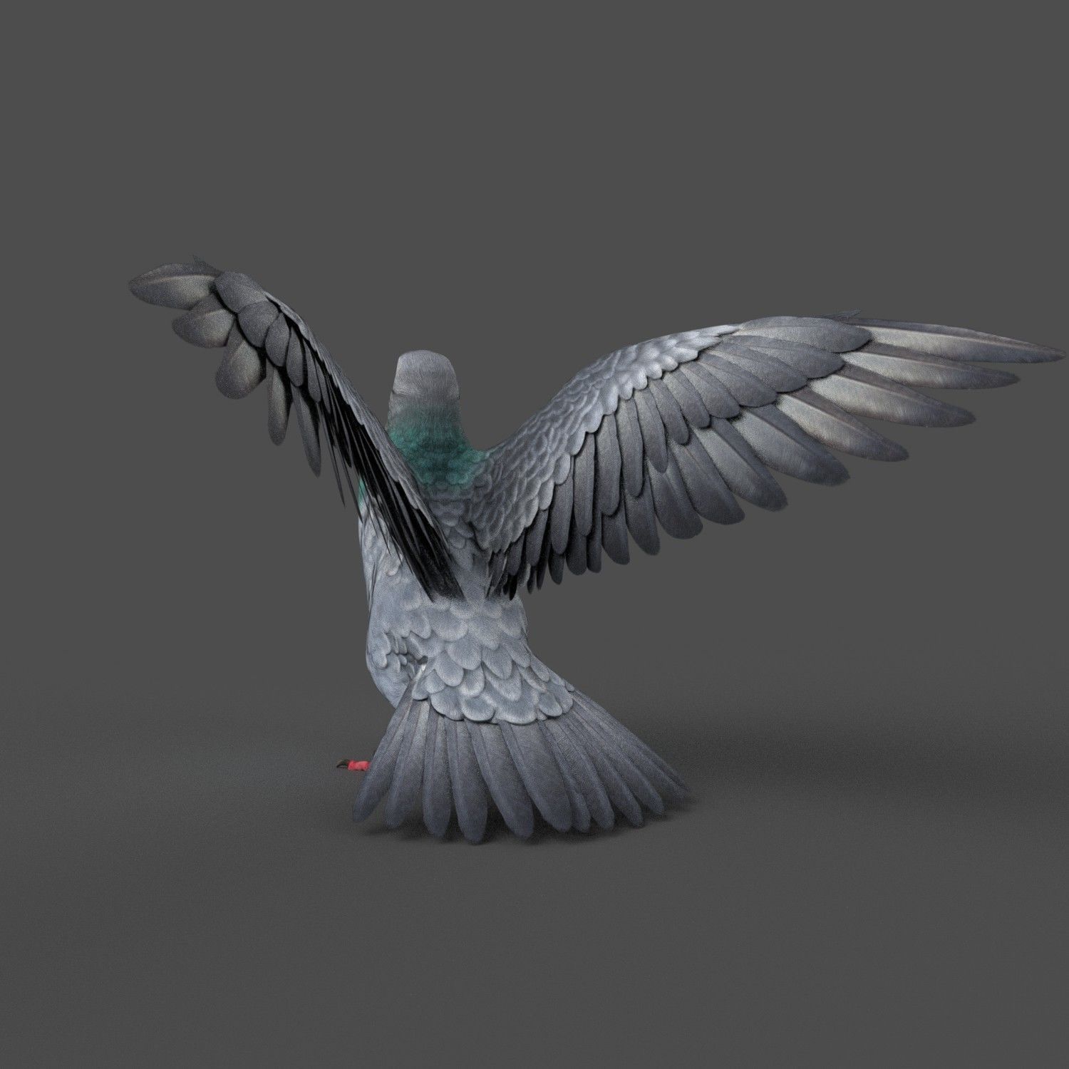 Pigeon Game Ready with wings spread Low-poly 3D model_13