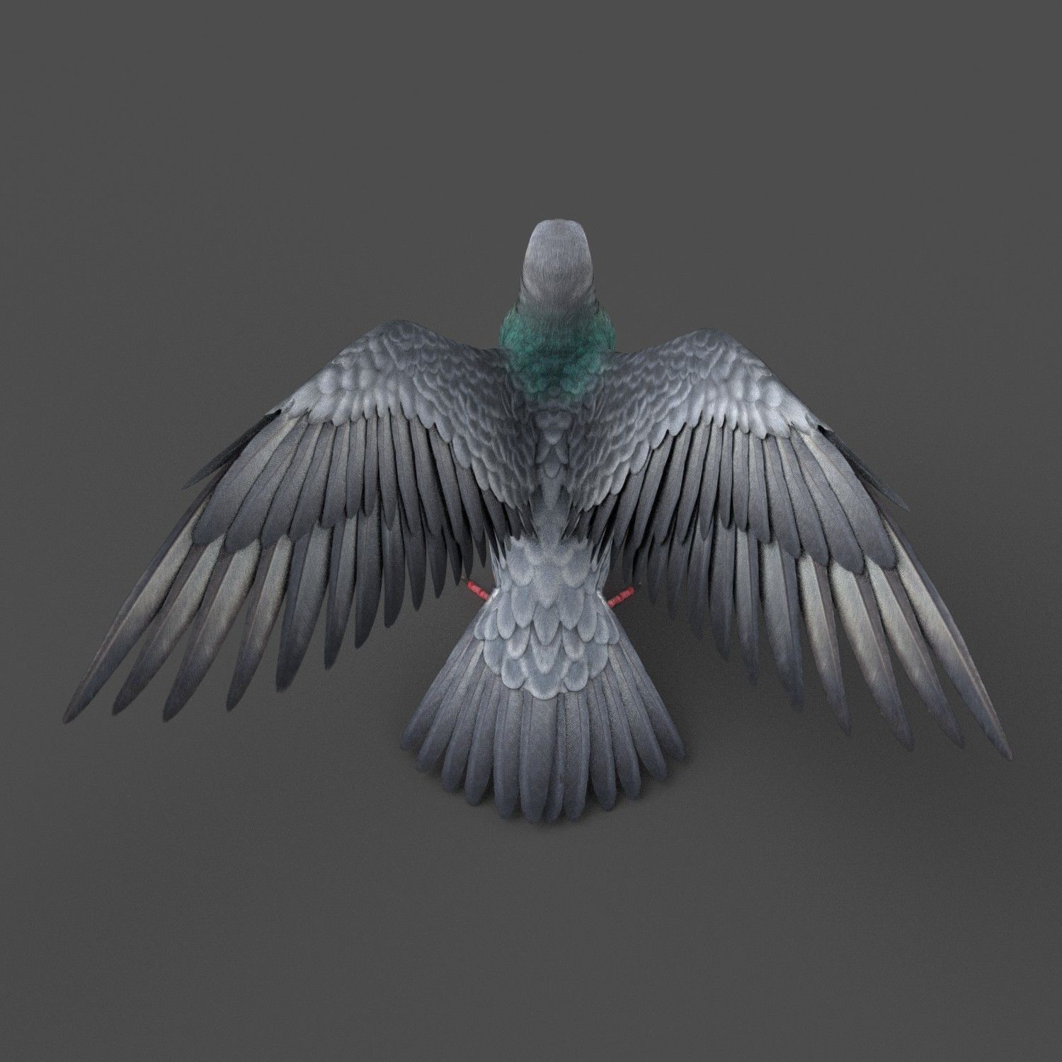 Pigeon Game Ready with wings spread Low-poly 3D model_4