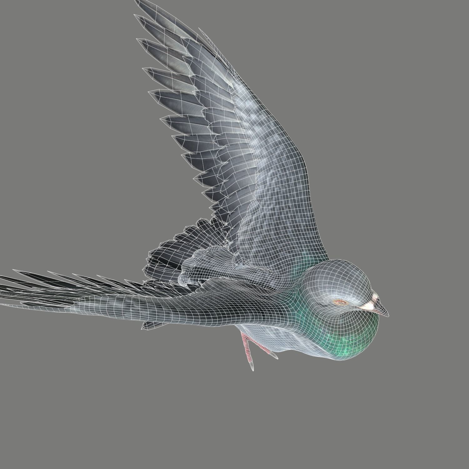 Pigeon Game Ready with wings spread Low-poly 3D model_22