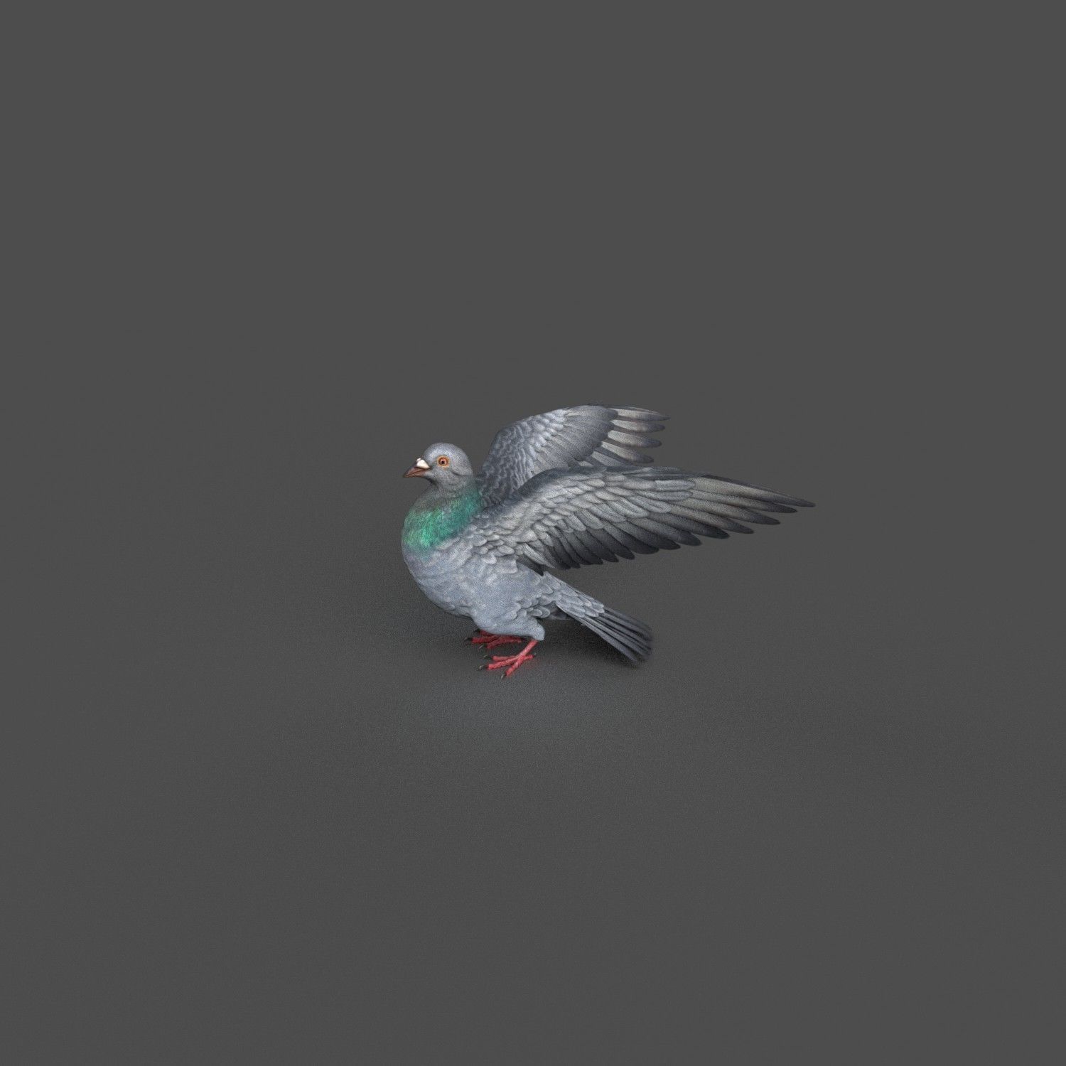 Pigeon Game Ready with wings spread Low-poly 3D model_7