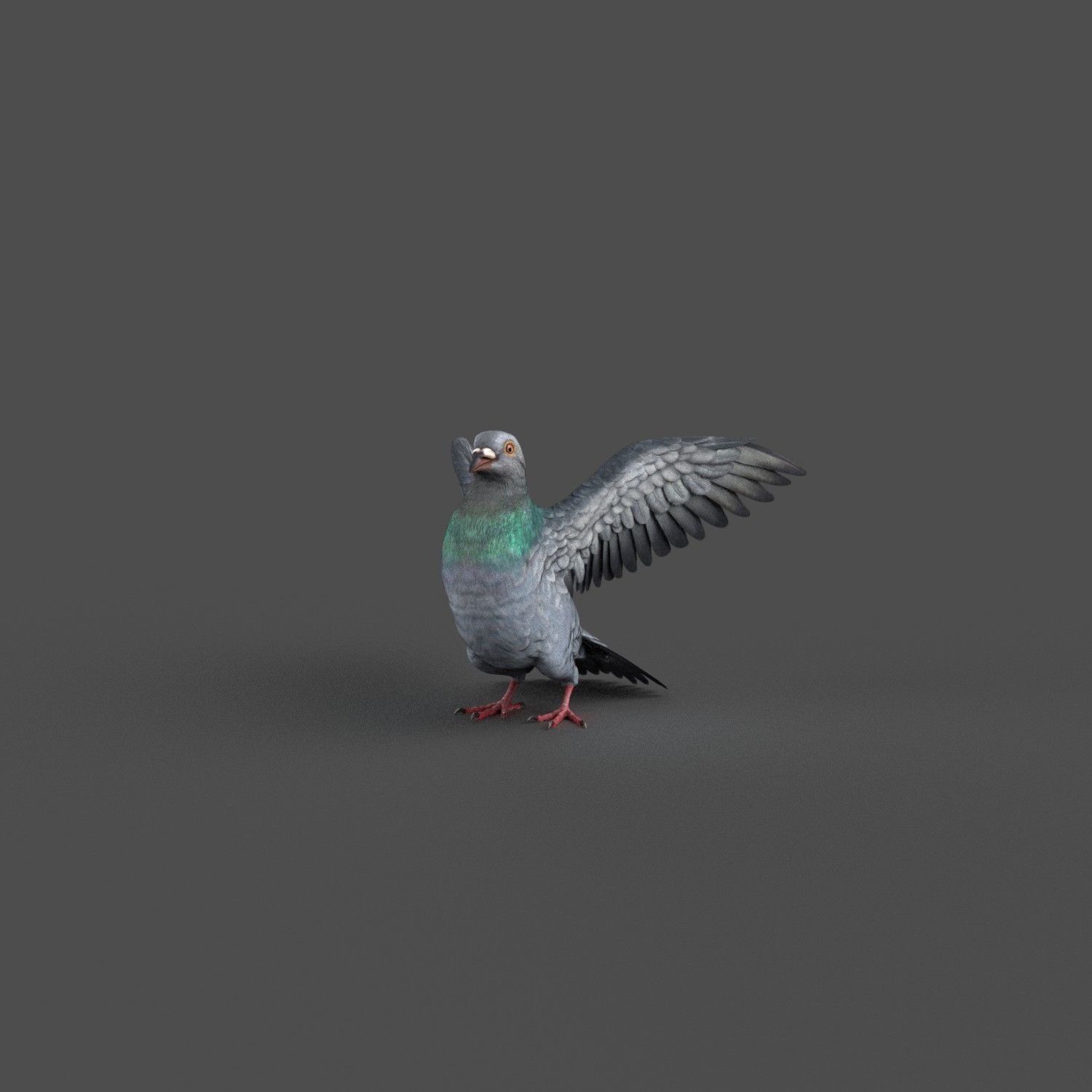 Pigeon Game Ready with wings spread Low-poly 3D model_8
