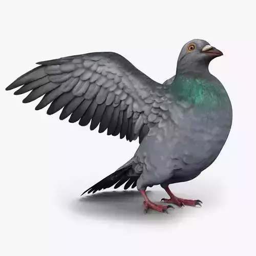 Pigeon Game Ready with wings spread Low-poly 3D model