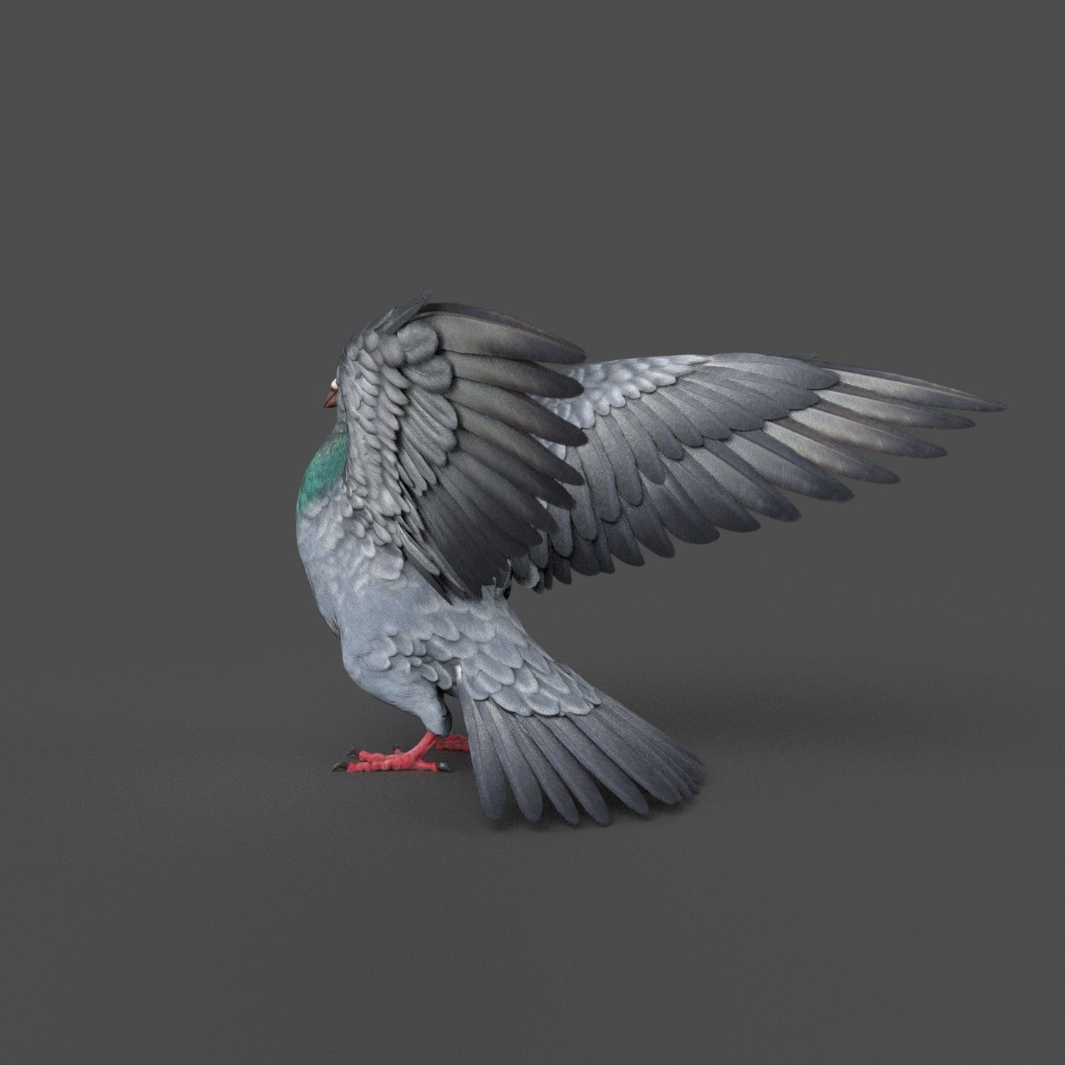 Pigeon Game Ready with wings spread Low-poly 3D model_12