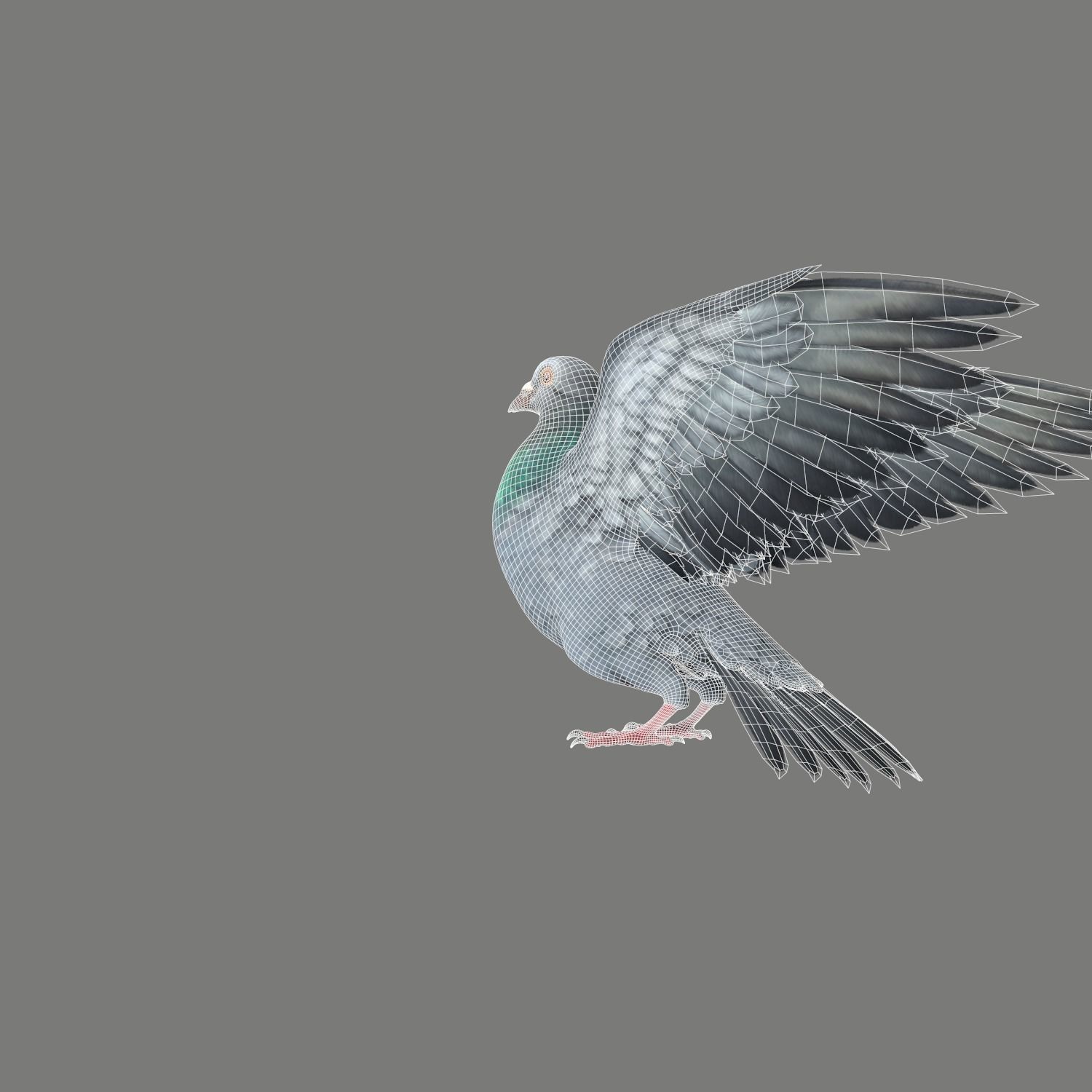 Pigeon Game Ready with wings spread Low-poly 3D model_20