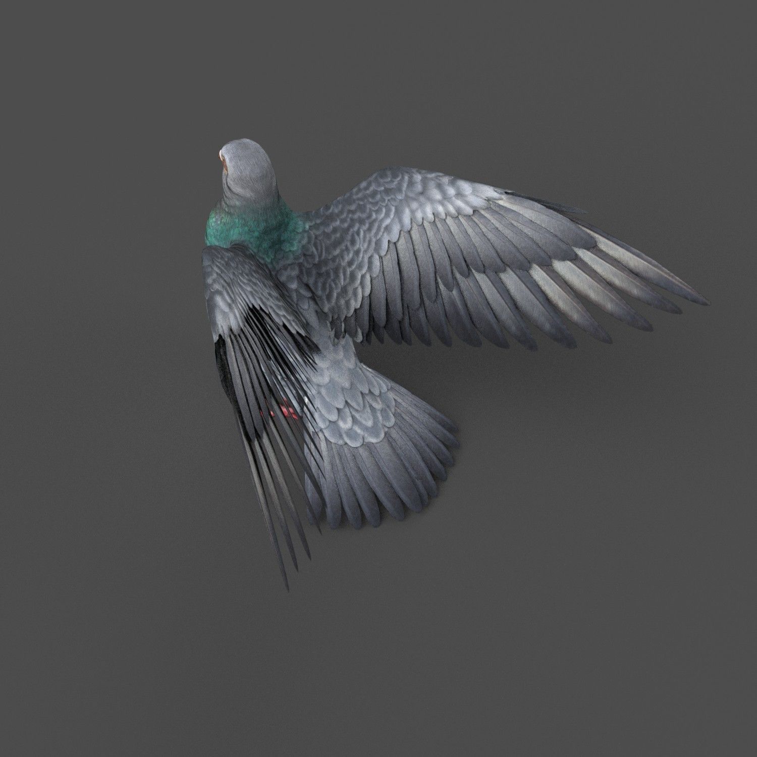Pigeon Game Ready with wings spread Low-poly 3D model_9