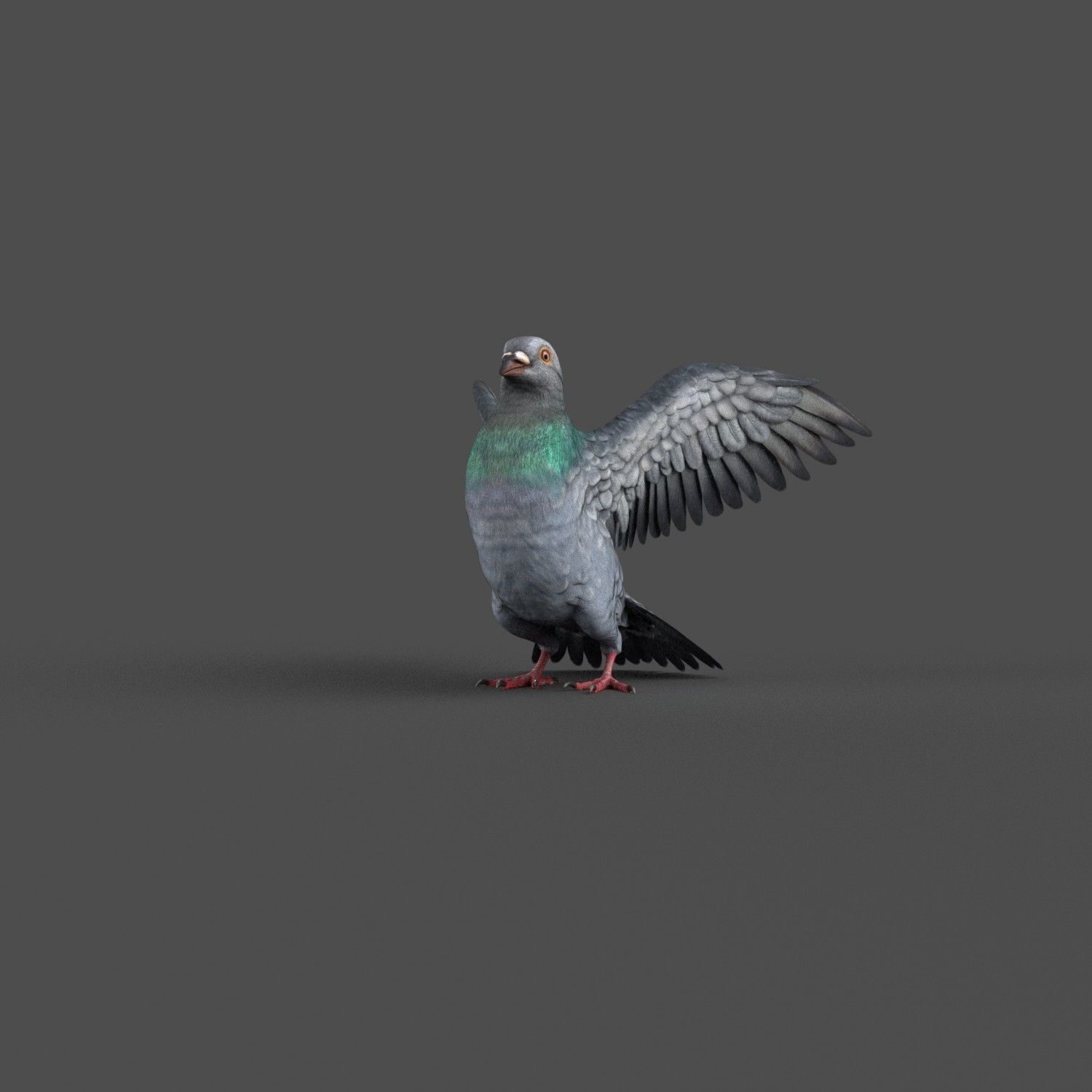 Pigeon Game Ready with wings spread Low-poly 3D model_6