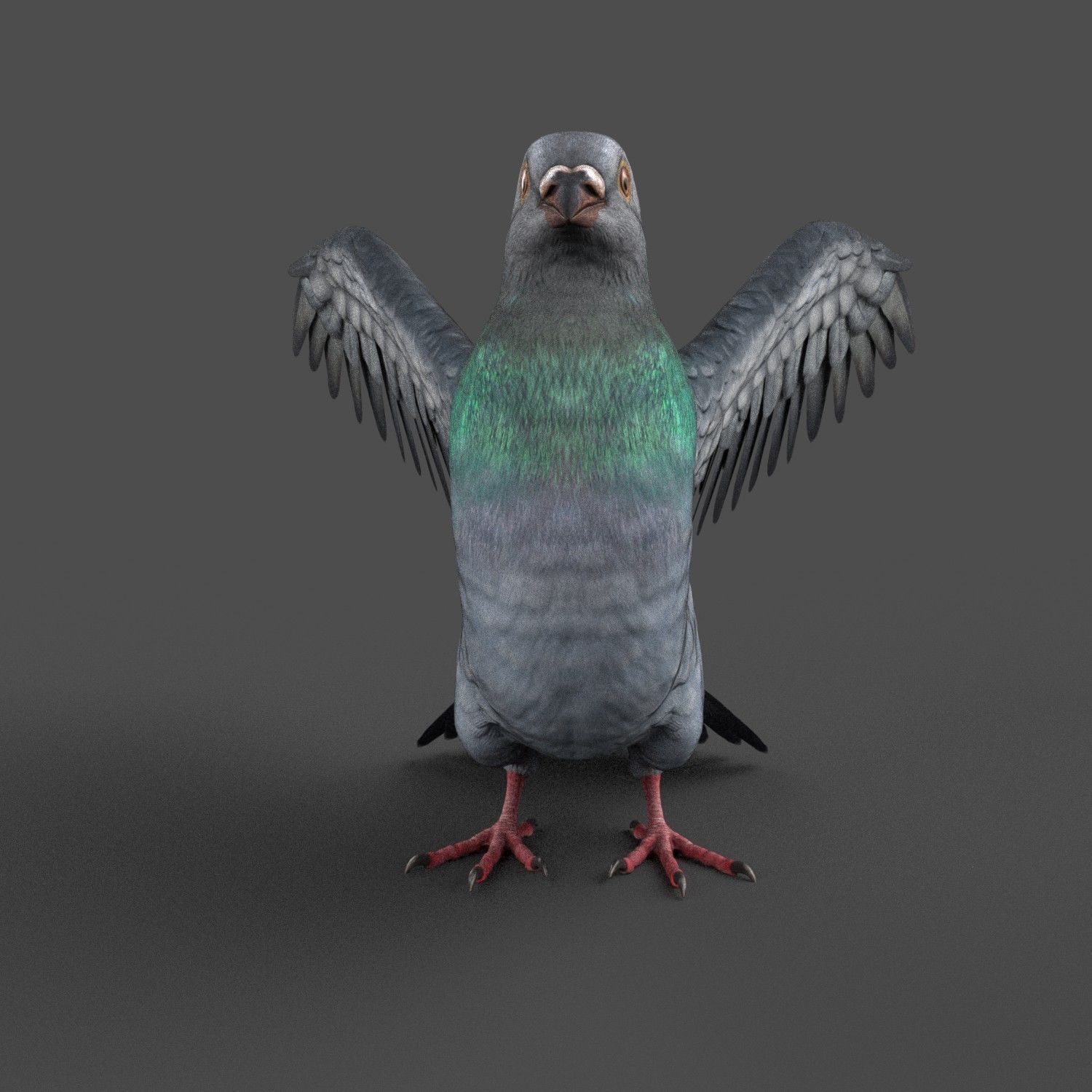 Pigeon Game Ready with wings spread Low-poly 3D model_5