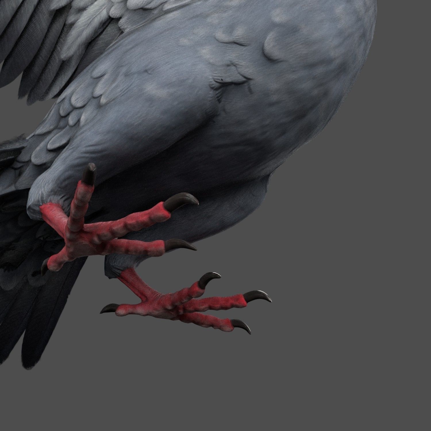 Pigeon Game Ready with wings spread Low-poly 3D model_18
