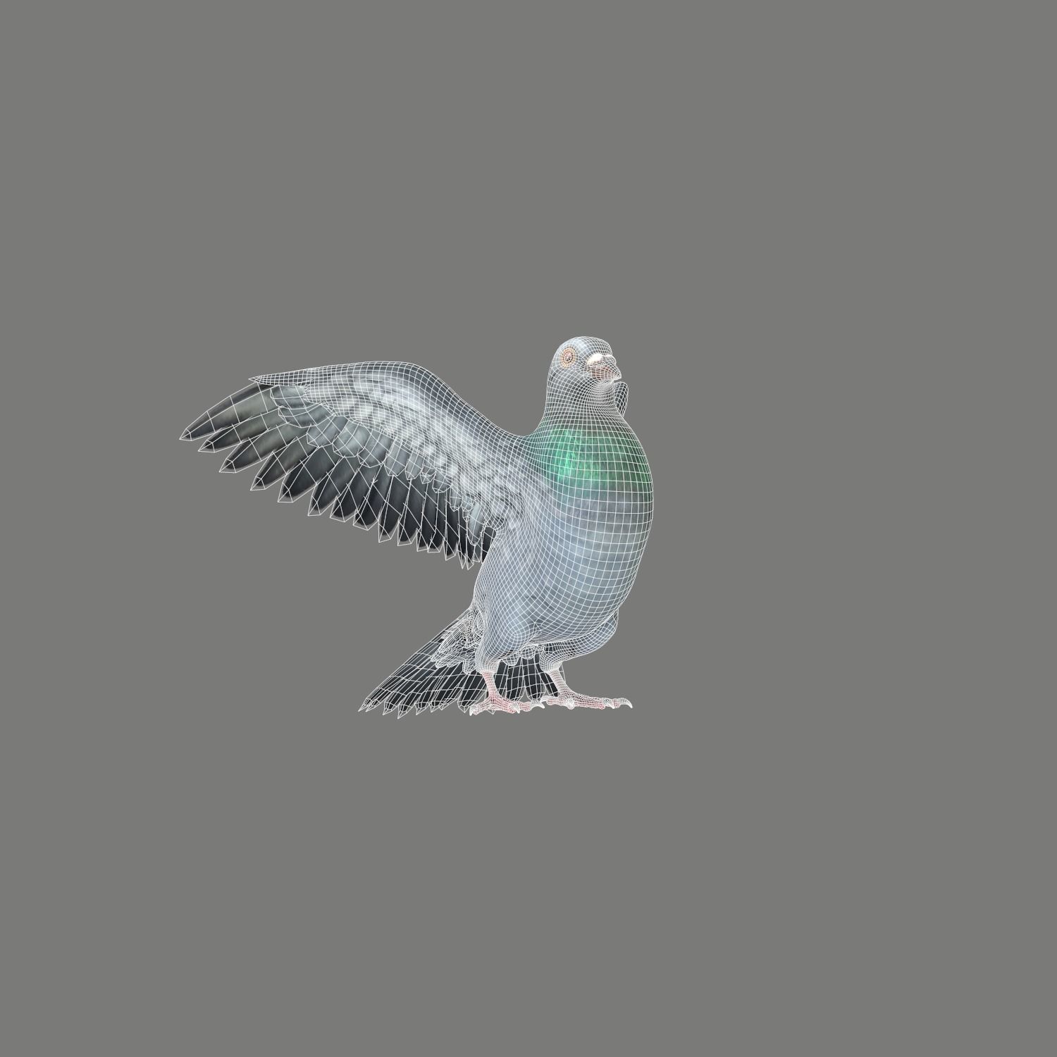 Pigeon Game Ready with wings spread Low-poly 3D model_21