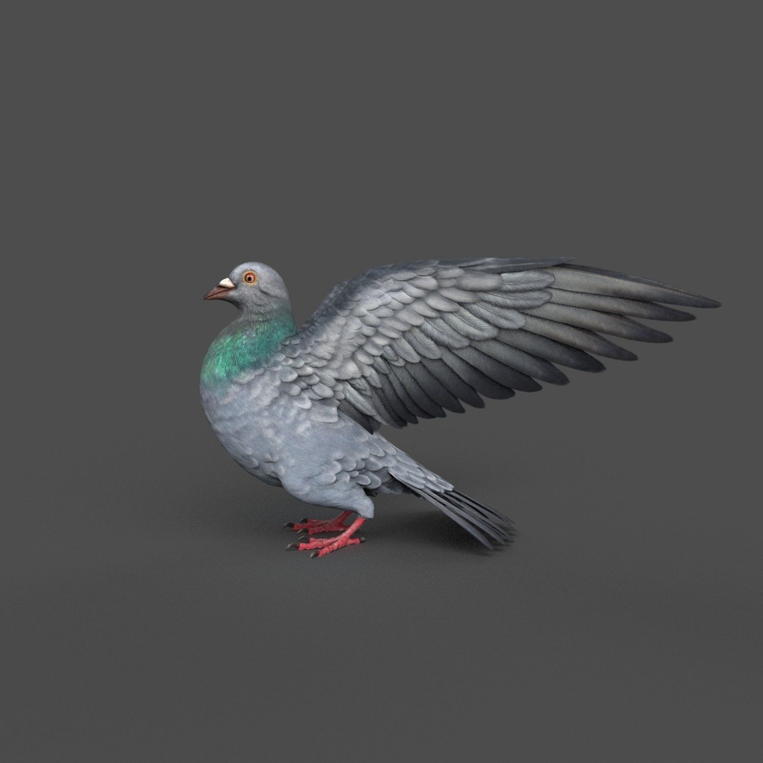 Pigeon Game Ready with wings spread Low-poly 3D model_11