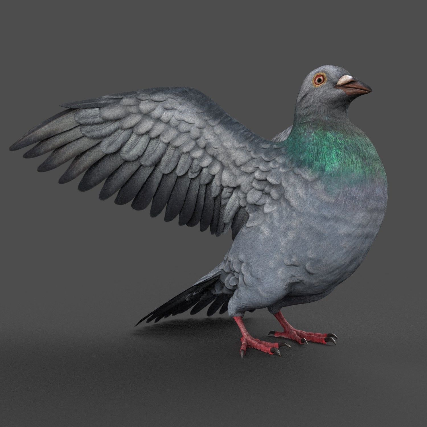 Pigeon Game Ready with wings spread Low-poly 3D model_3