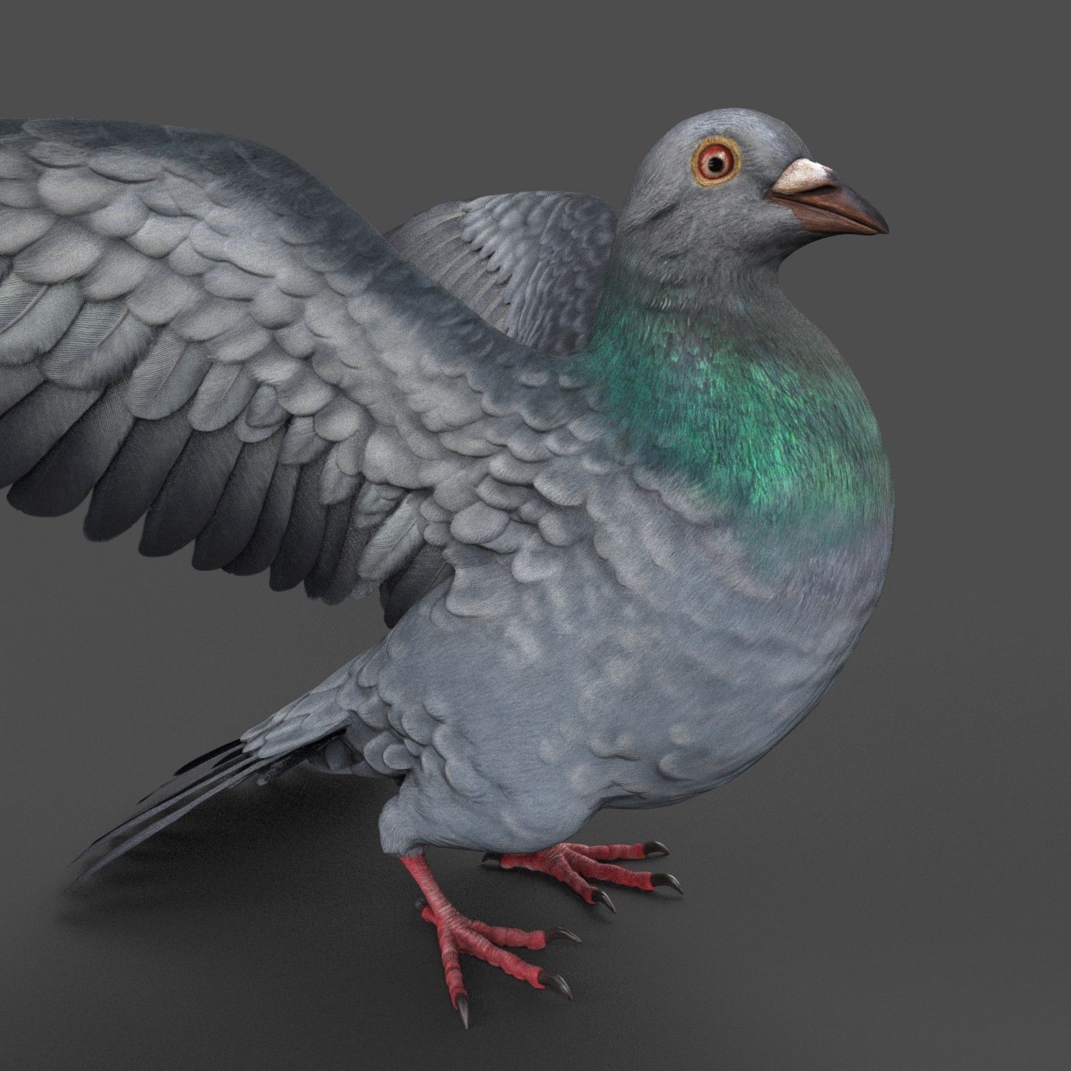 Pigeon Game Ready with wings spread Low-poly 3D model_16