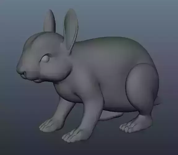 Rabbit Model bunny