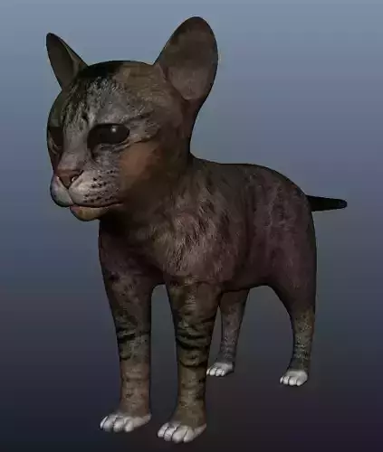 Kitten Model cat Low-poly 3D model
