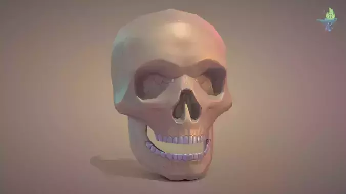 Skull Low-poly 3D model