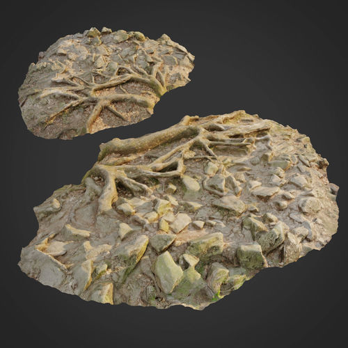 Ground stones E 3D model