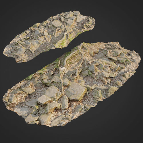 Ground stones F 3D model
