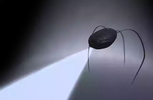 Spider Robot Minority Report Low-poly 3D model