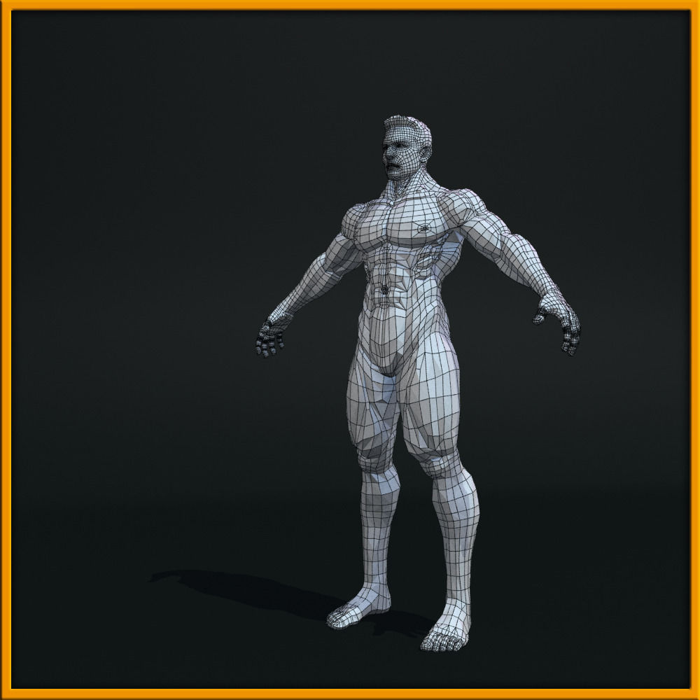 Realistic Male Body Low-poly 3D model_20