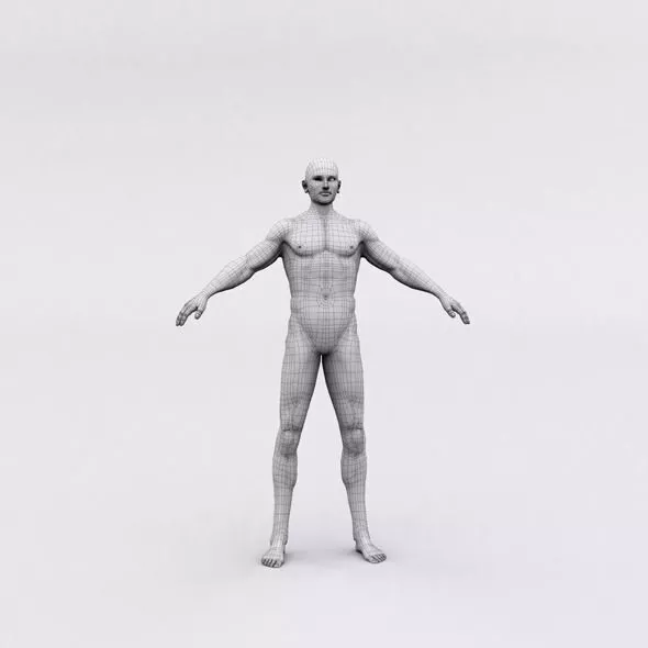 Realistic Male Body 3D Printed Free low-poly 3D model
