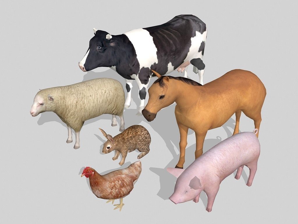 farm animals Low-poly 3D model_1