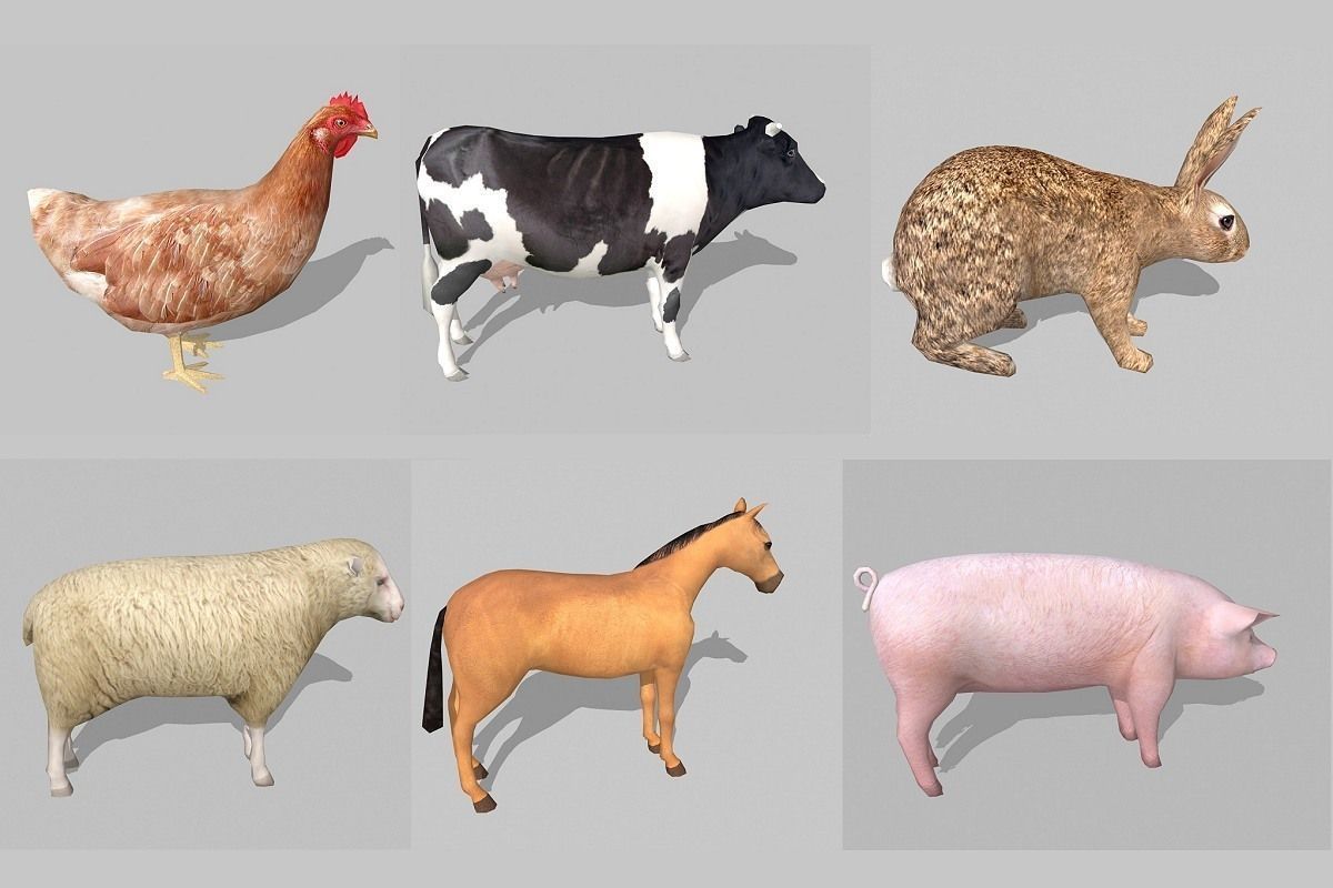 farm animals Low-poly 3D model_6