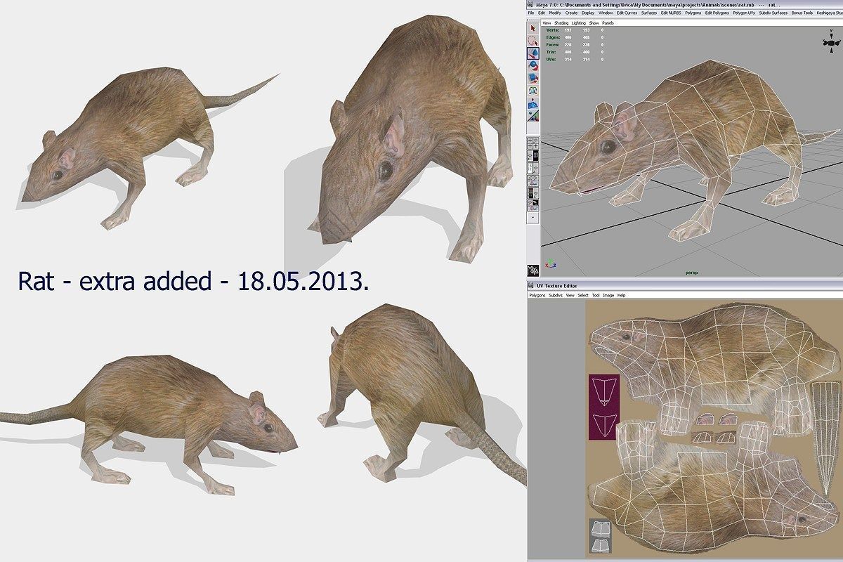 farm animals Low-poly 3D model_8