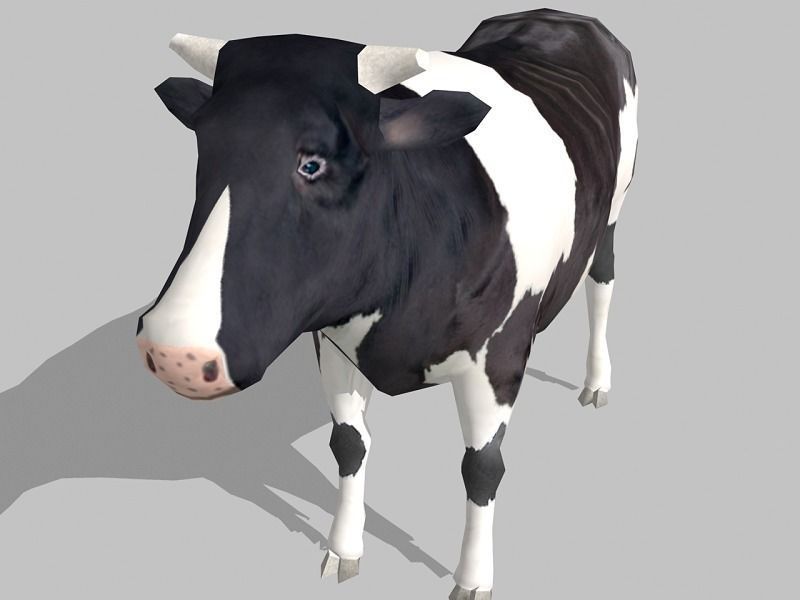 cow holstein Low-poly 3D model_3