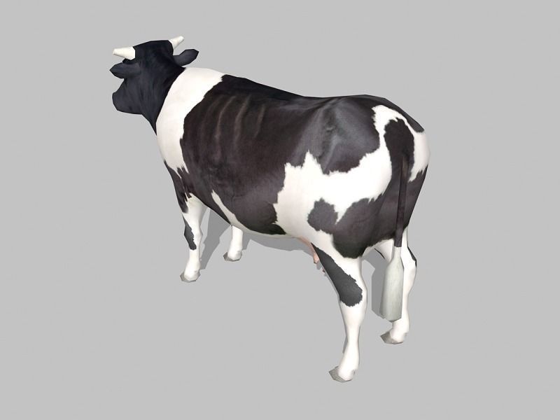 cow holstein Low-poly 3D model_2