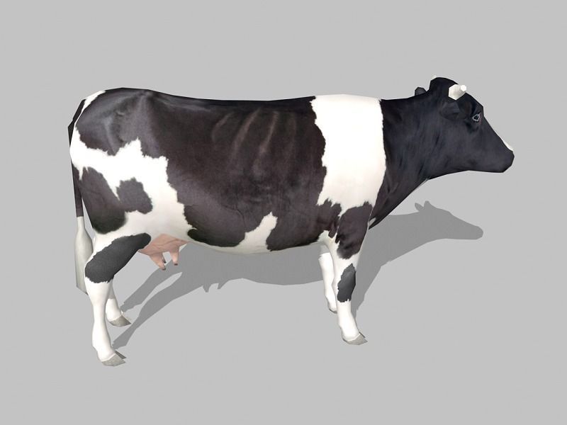 cow holstein Low-poly 3D model_1