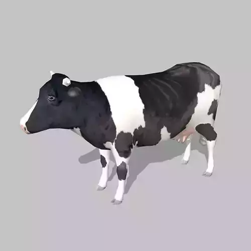 cow holstein Low-poly 3D model