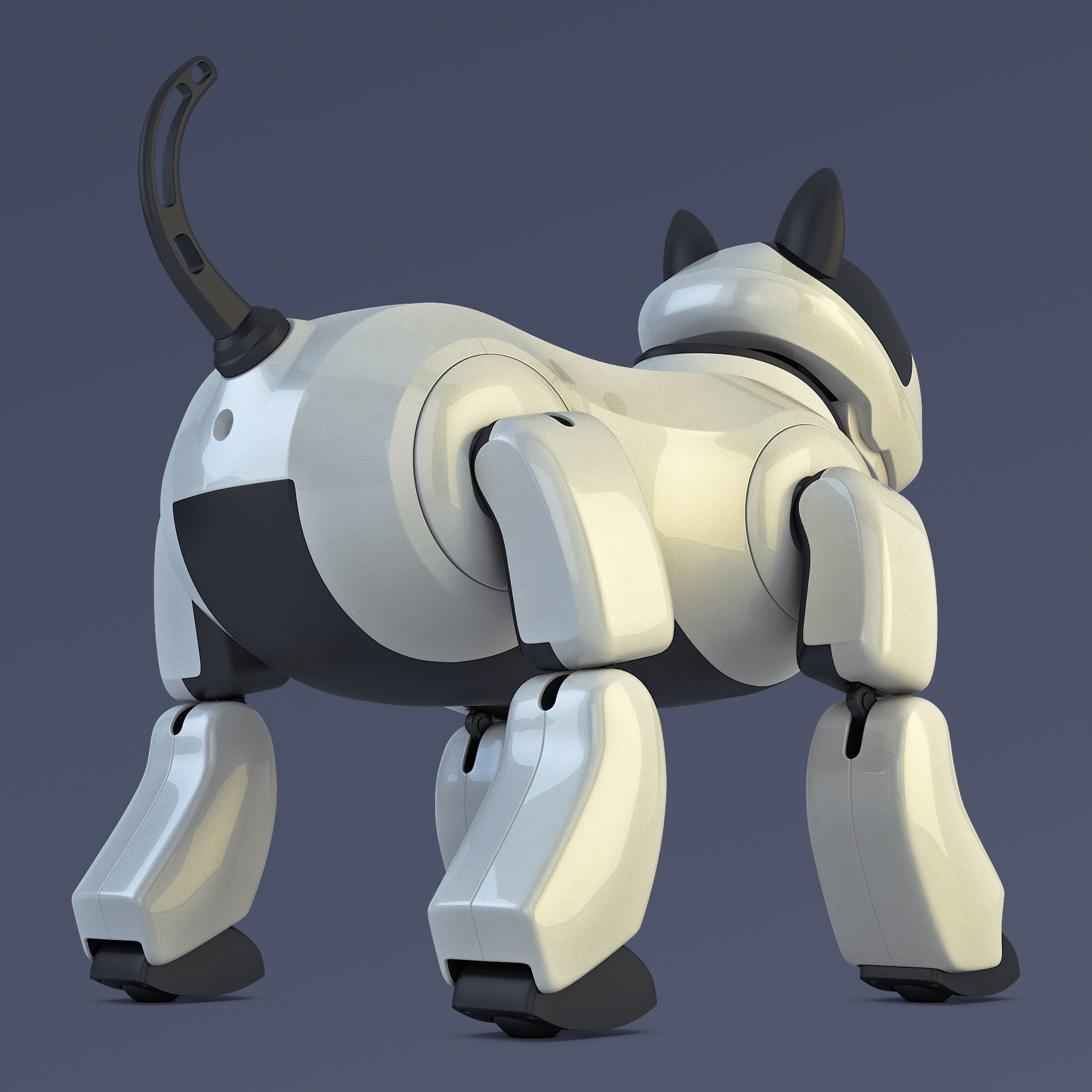Genibo Robot Dog White 3D model_4