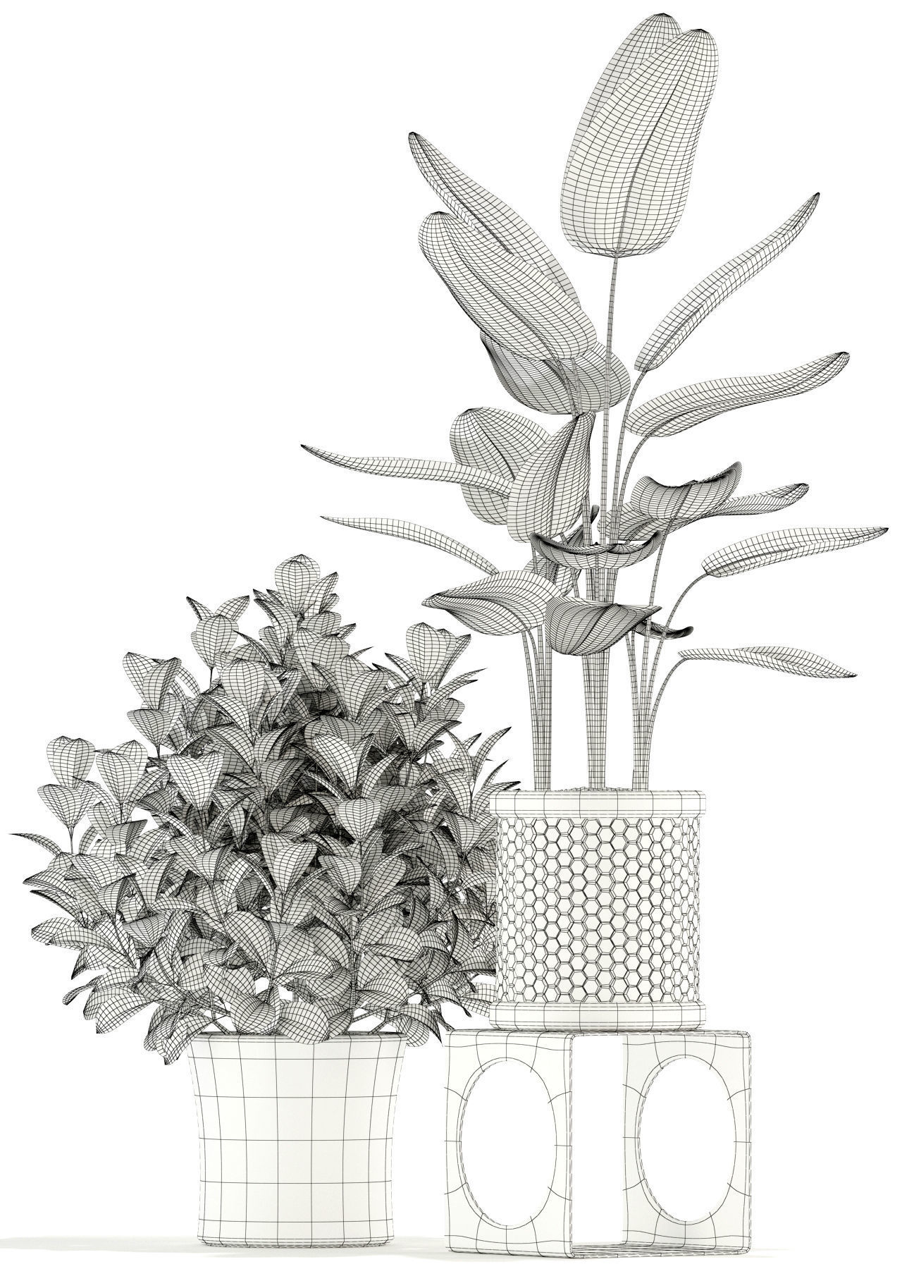 Plants collection 118 3D model_3