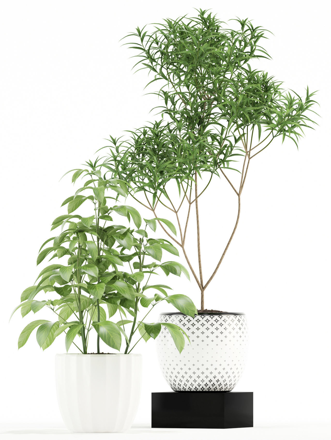 Plants collection 118 3D model_2
