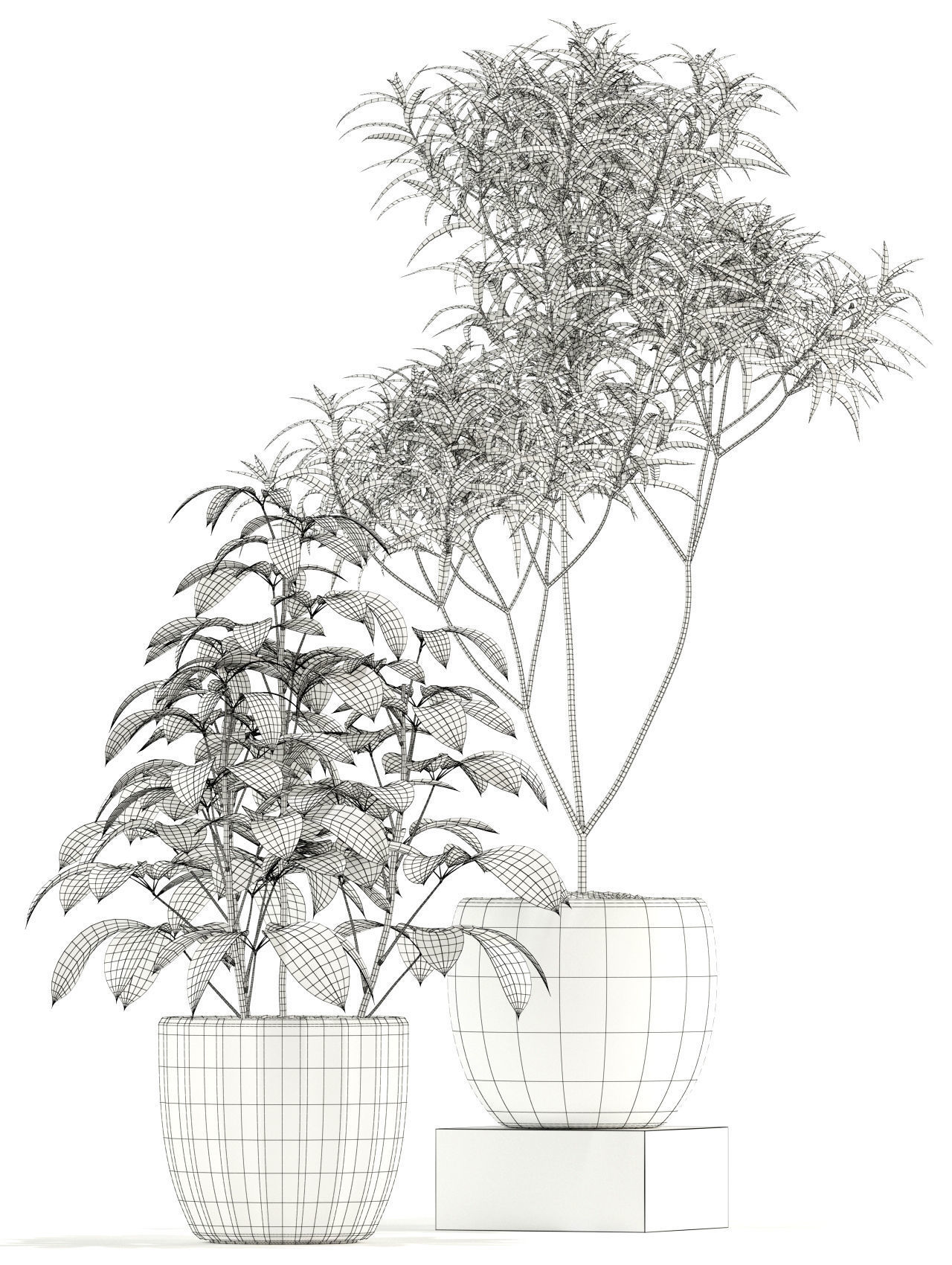 Plants collection 118 3D model_4