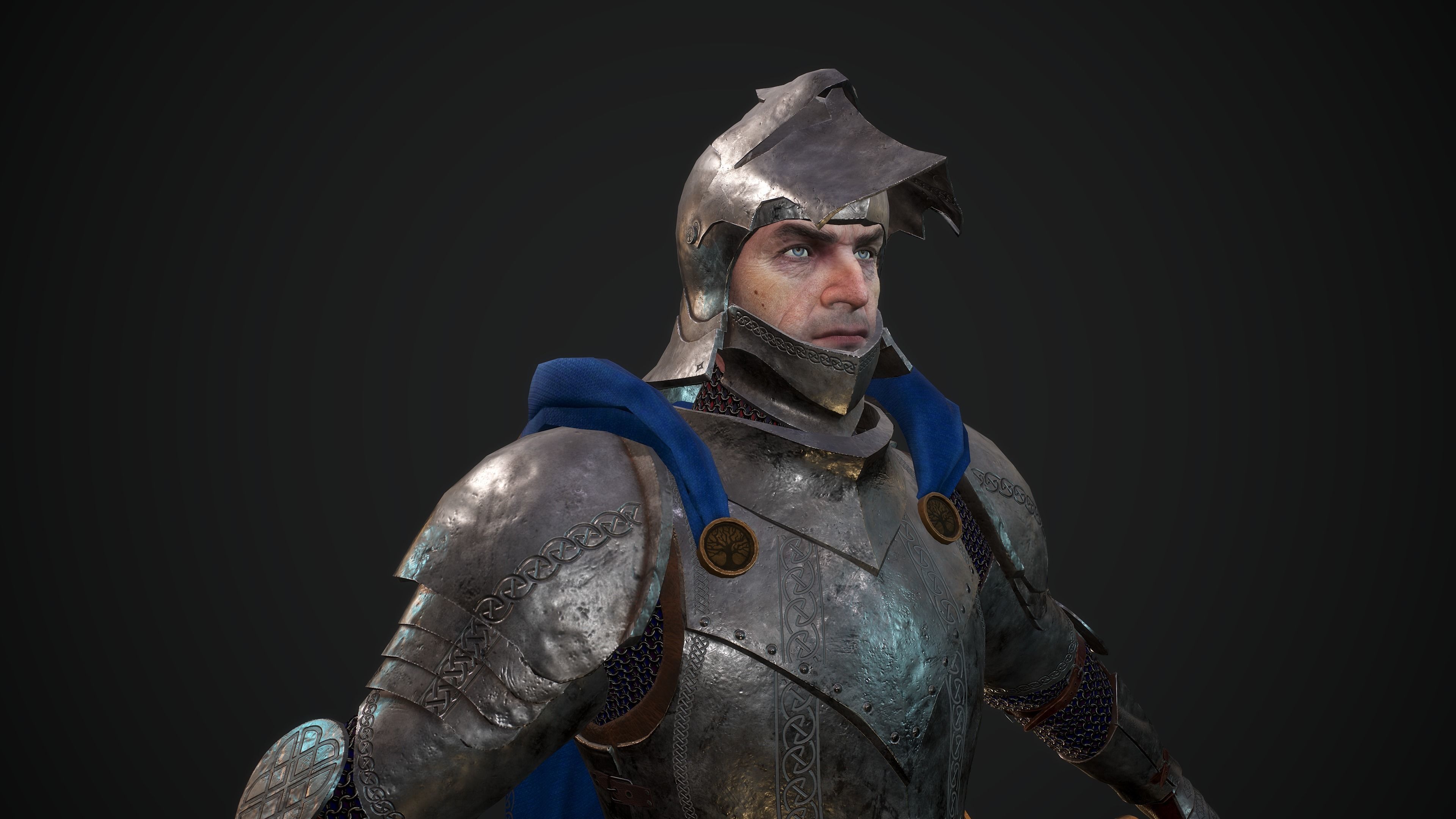 Knight 3D model_0