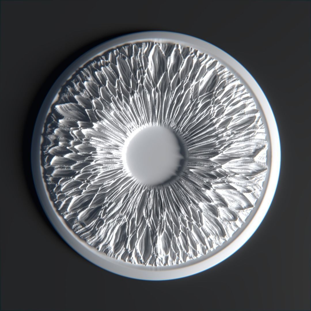 Pritable iris model 1 3D print model_1