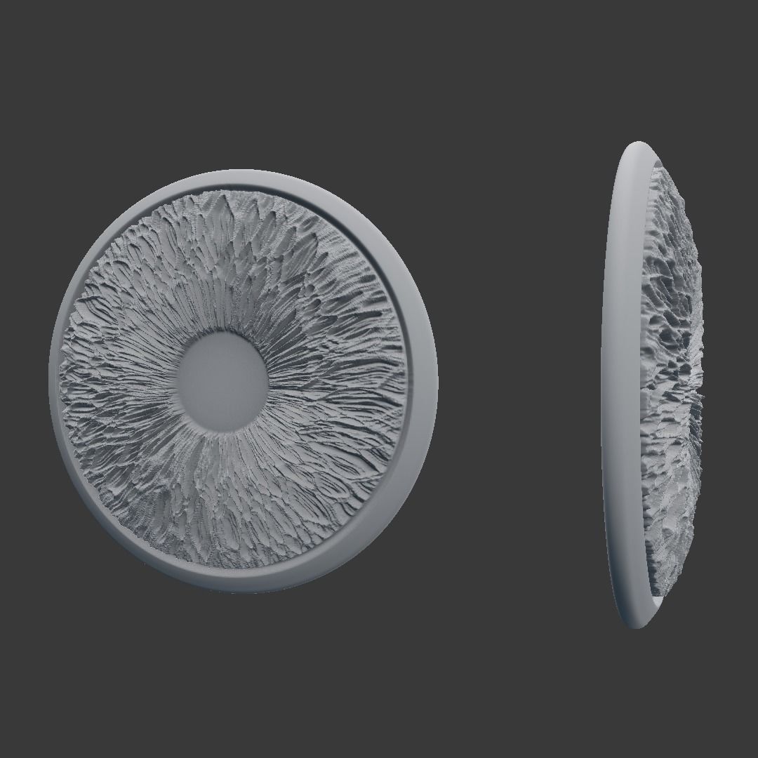 Pritable iris model 1 3D print model_5