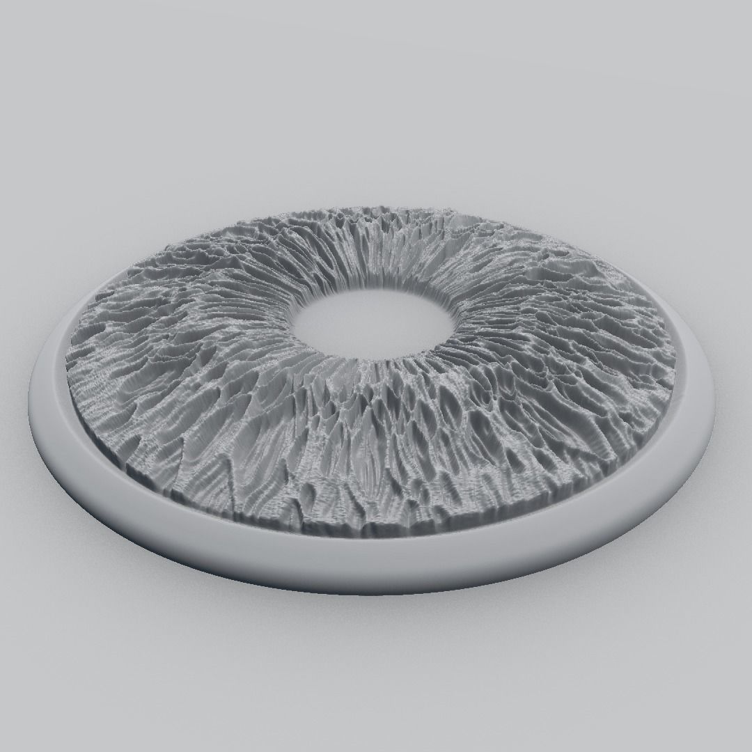 Pritable iris model 1 3D print model_4