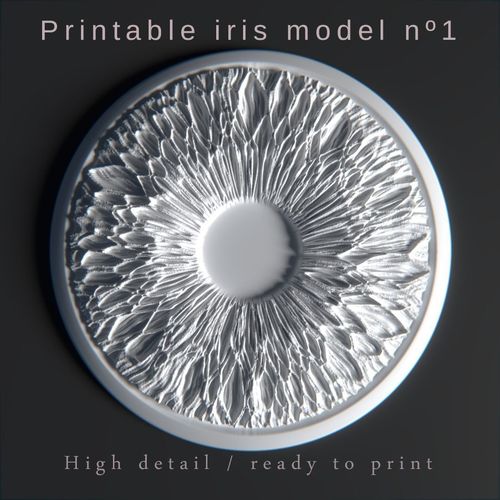 Pritable iris model 1 3D print model