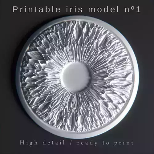 Pritable iris model 1