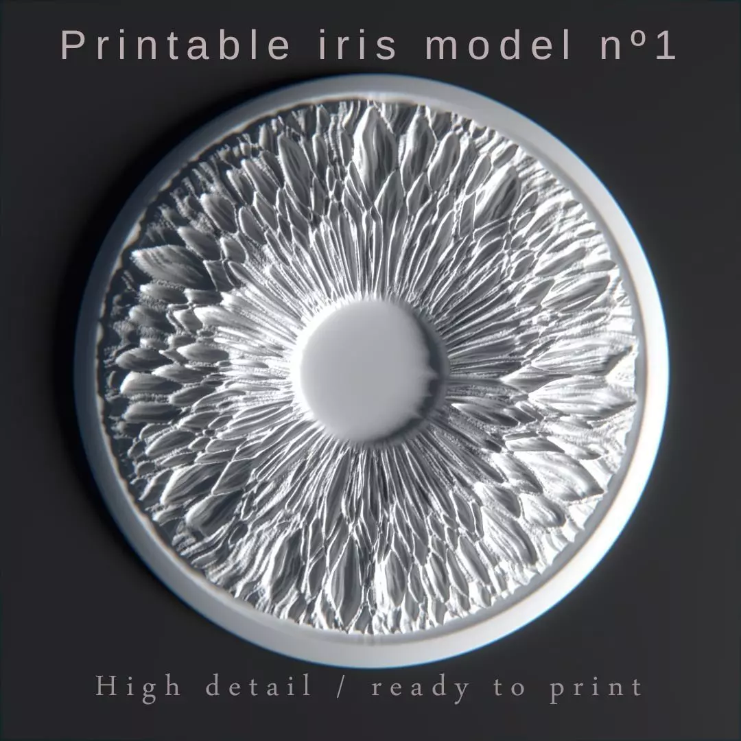 Pritable iris model 1 3D print model_0