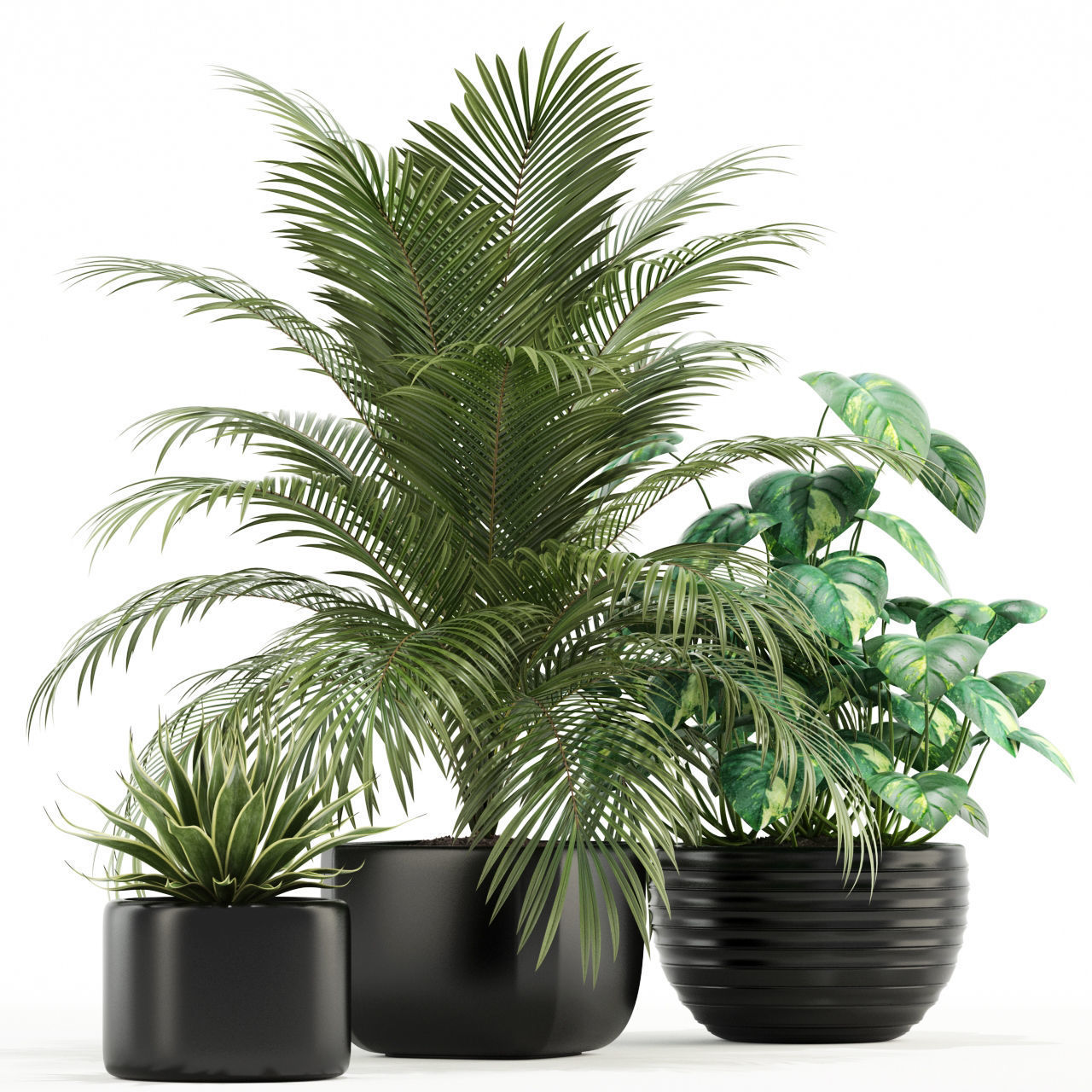 Plants collection 119 3D model_2