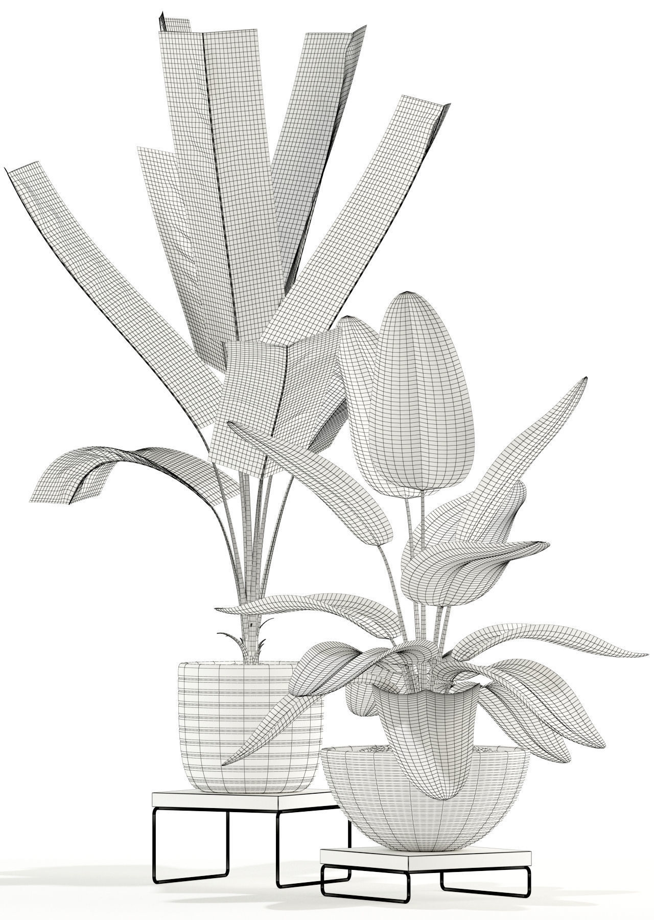 Plants collection 119 3D model_3