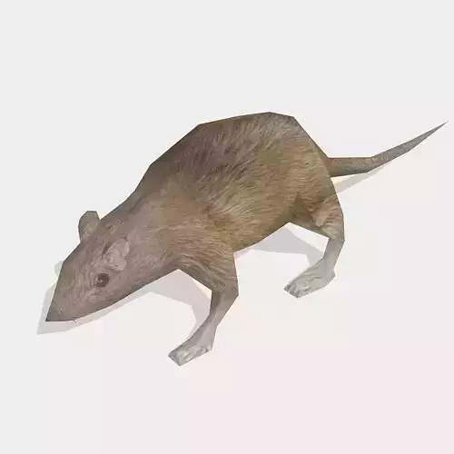 rat animal Low-poly 3D model