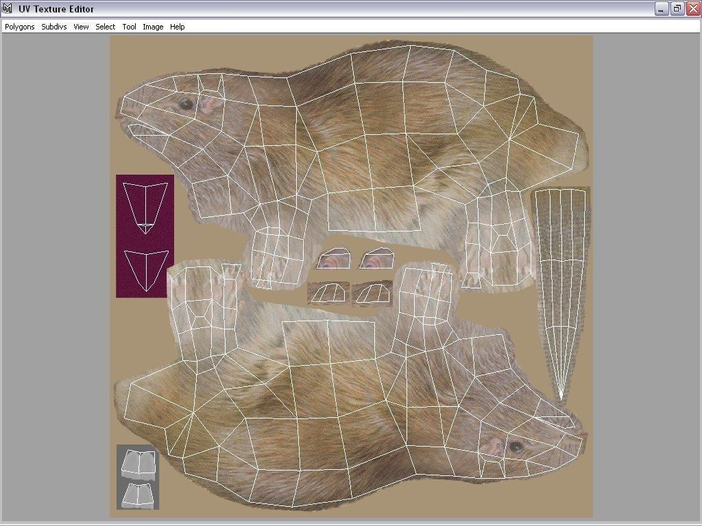 rat animal Low-poly 3D model_7