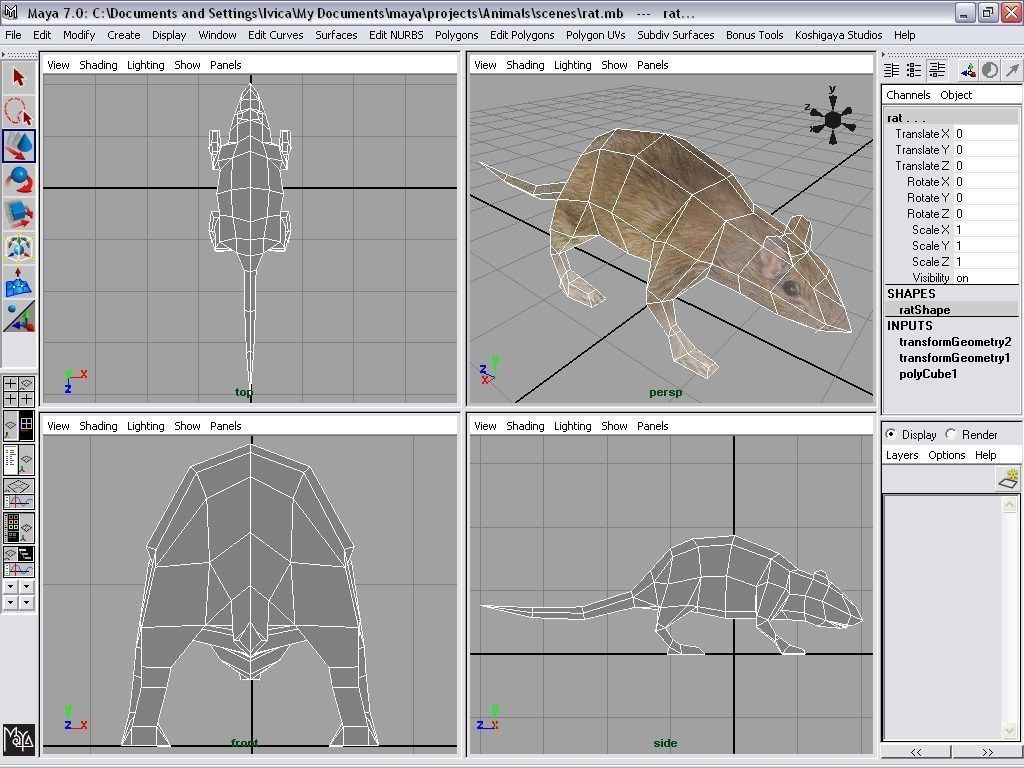 rat animal Low-poly 3D model_5